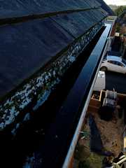 Gutter Cleaning | Leaf Removal | Local Gutter Cleaning